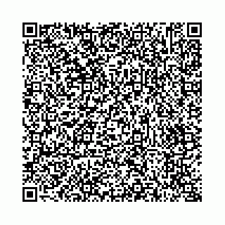 vCard 73514339699