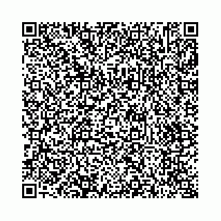 vCard 73514339703