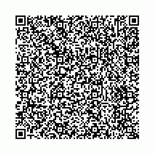 vCard 73514339705