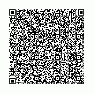 vCard 73514339706
