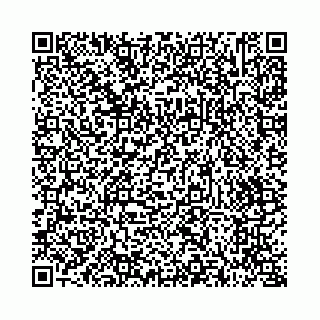 vCard 73514339709