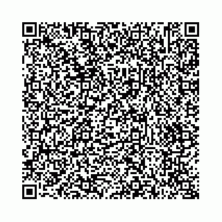 vCard 73514339711