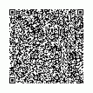 vCard 73514339712