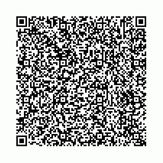 vCard 73514339714