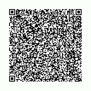 vCard 73514339729