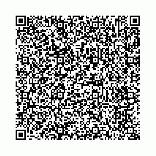 vCard 73514339733