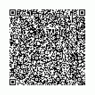 vCard 73514339741