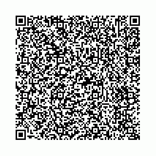 vCard 73514339775