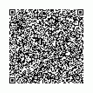 vCard 73514339776