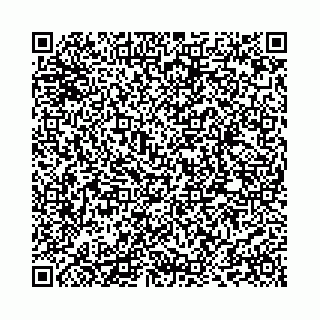 vCard 73514339785
