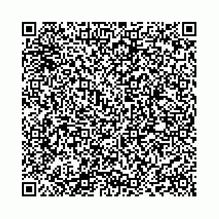 vCard 73514339795