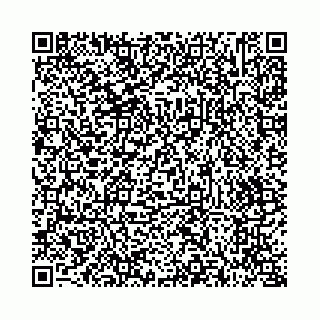 vCard 73514339799