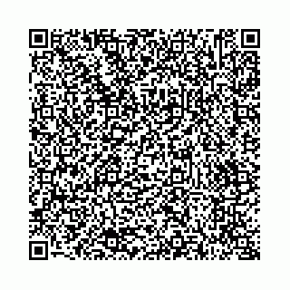 vCard 73514339801