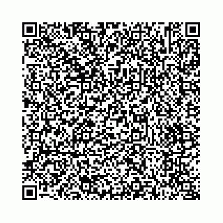 vCard 73514339802