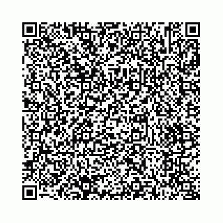 vCard 73514339803