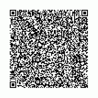 vCard 73514339804