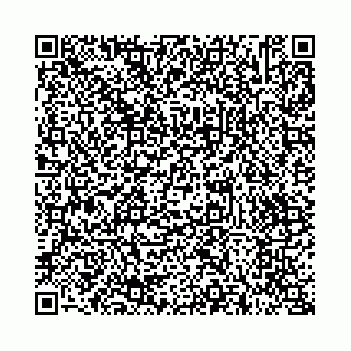 vCard 73514339807