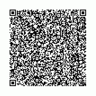 vCard 73514339809