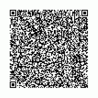 vCard 73514339811