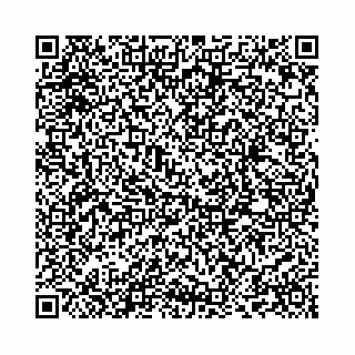 vCard 73514339813