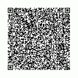 vCard 73514339819