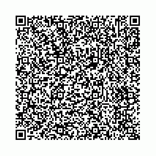 vCard 73514339821