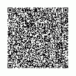 vCard 73514339831