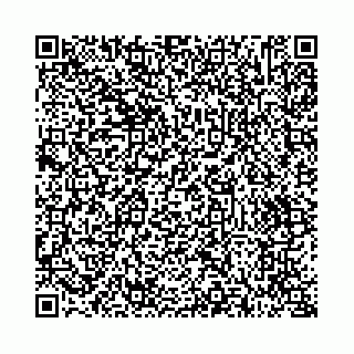 vCard 73514339835