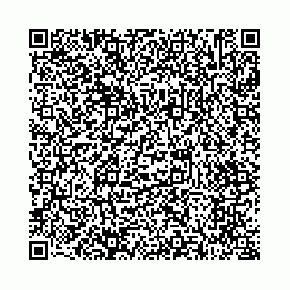 vCard 73514339863