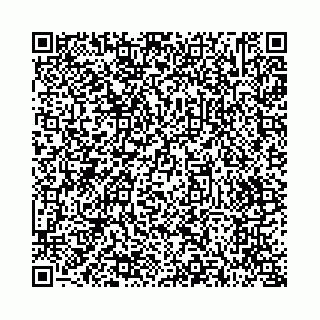 vCard 73514339871