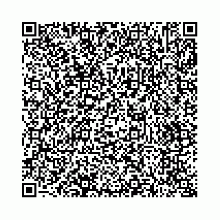 vCard 73514339873