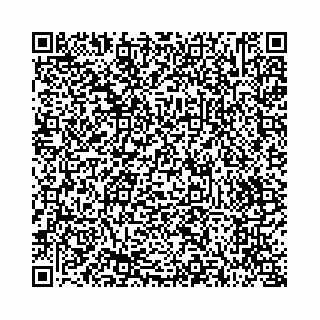 vCard 73514339880