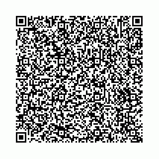 vCard 73514339881