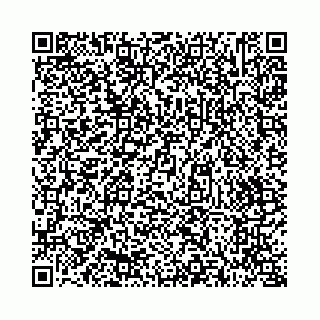 vCard 73514339889