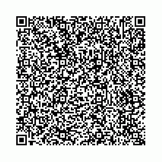 vCard 73514339891