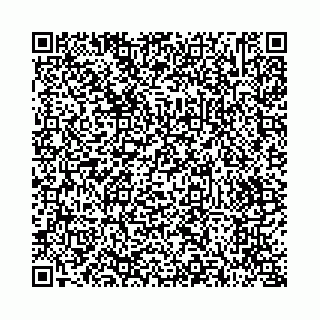 vCard 73514339895