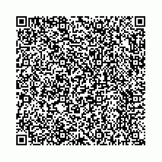 vCard 73514795252
