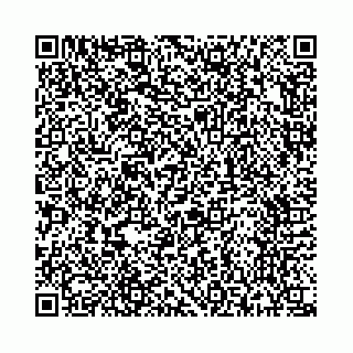 vCard 73514795402