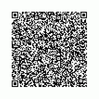 vCard 73514871100