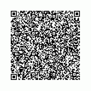 vCard 73514871111
