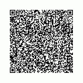 vCard 73514929203