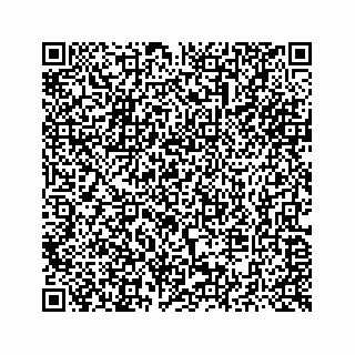 vCard 73514929209