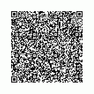 vCard 73514929211