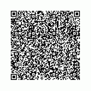 vCard 73514929213