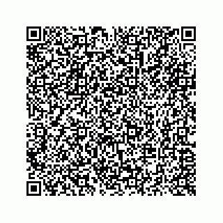 vCard 73514929214