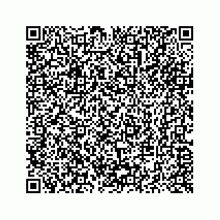 vCard 73514929229