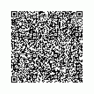 vCard 73514929237