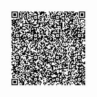vCard 73514929251