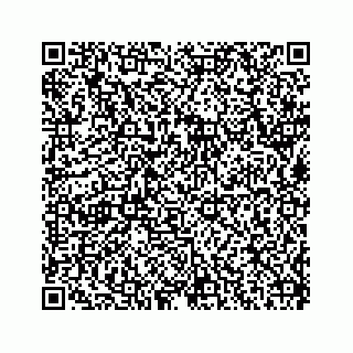 vCard 73514929279