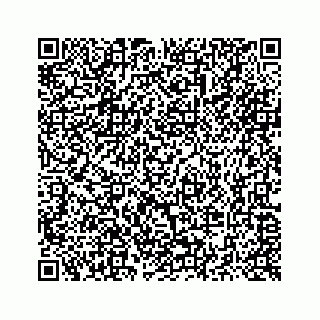 vCard 73514929295